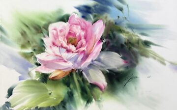 Marsh Lily Flower