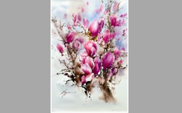 Magnolia Flower