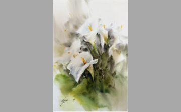 Calla Lily Flower