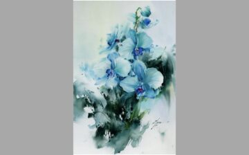 Orchid Flower