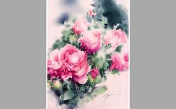 Rose ( 10 )