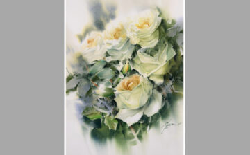Rose ( 11 )