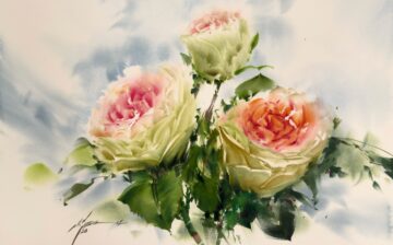 Rose ( 12 )