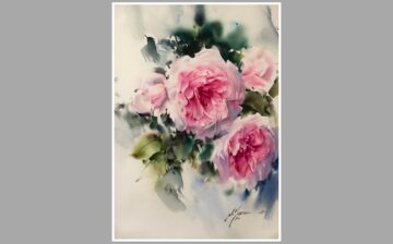 Rose ( 13 )