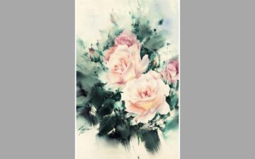 Rose ( 3 )