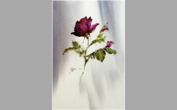 Rose ( 5 )