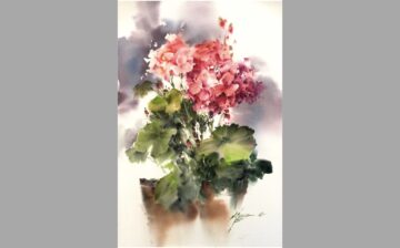 Geranium Flower