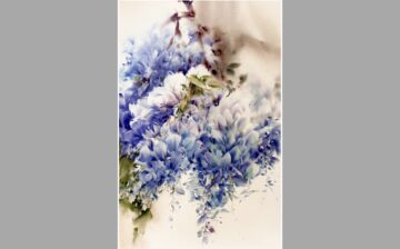 Gilisin Flower ( 1 )
