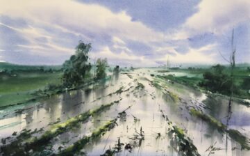 Landscape ( 22 )